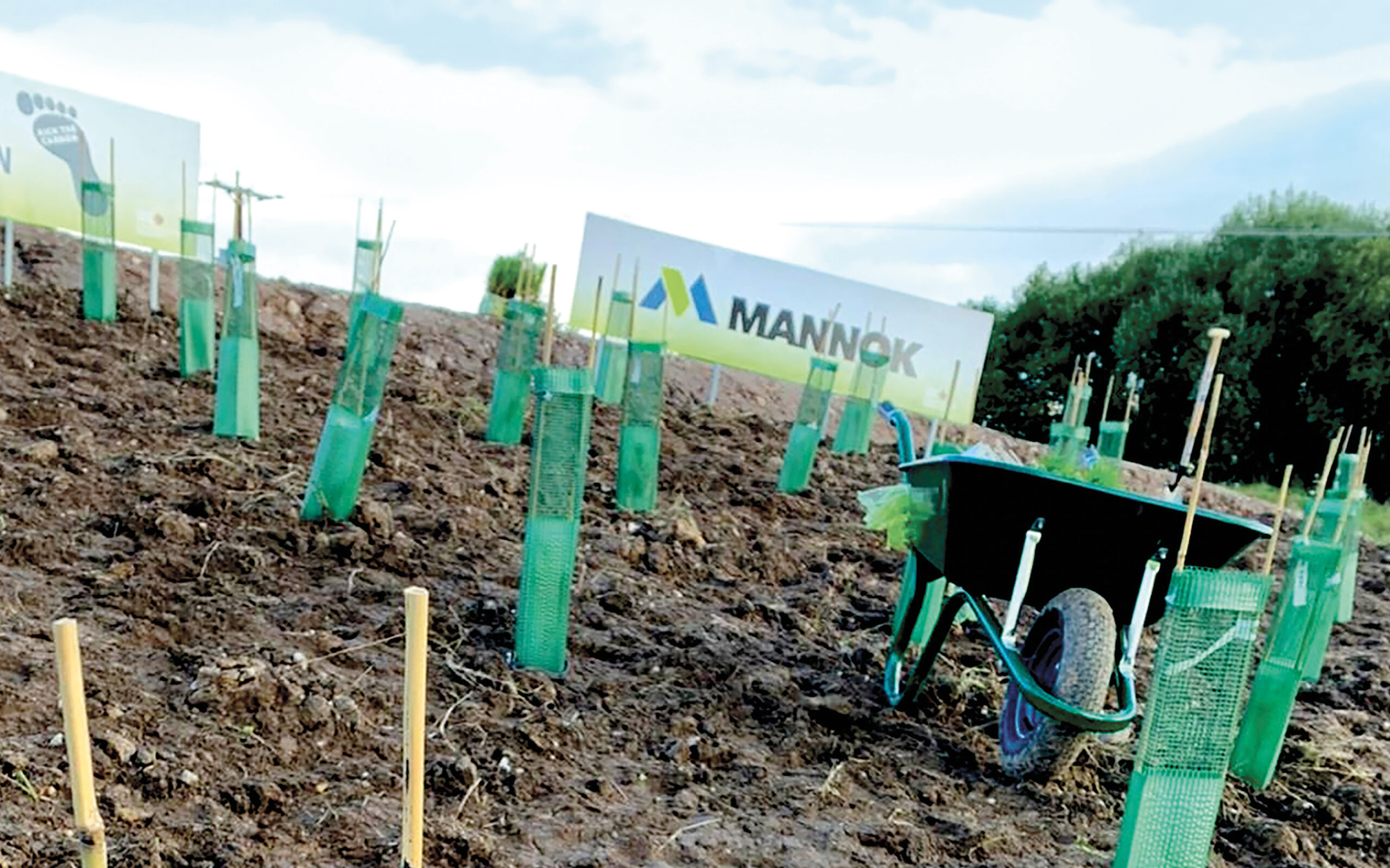 Mannok partners with Builders' Merchants Federation for tree planting ...